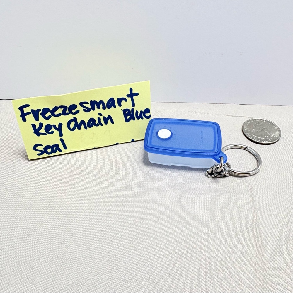 Tupperware freeze smart Blue Seal Keychain
